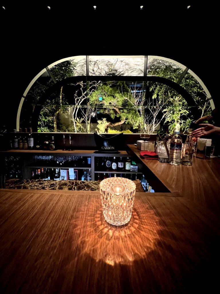 銀座高級会員制クラブCLUB Vidaの男子スタッフ特集！の説明